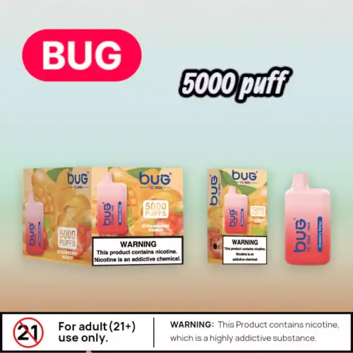 BUG-04 BC5000 – 5000 Züge Einweg-Vape
