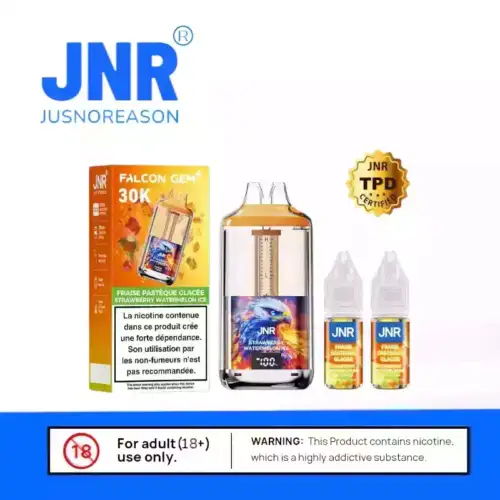 JNR Falcon GEM 30000 PUFF & 10 Aromen