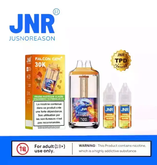 JNR Falcon GEM 30000 PUFF & 10 Aromen