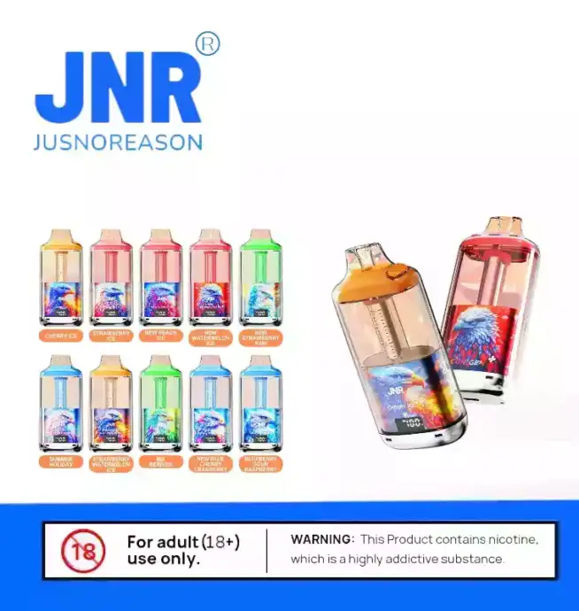 JNR Falcon GEM 30000 PUFF & 10 Aromen