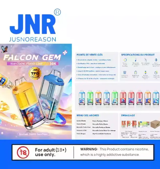 JNR Falcon GEM 30000 PUFF & 10 Aromen