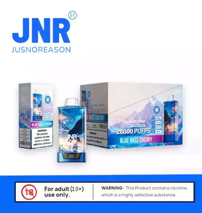 JNR Falcon Pro 28K Puffs Mesh Coil Technologie Vape