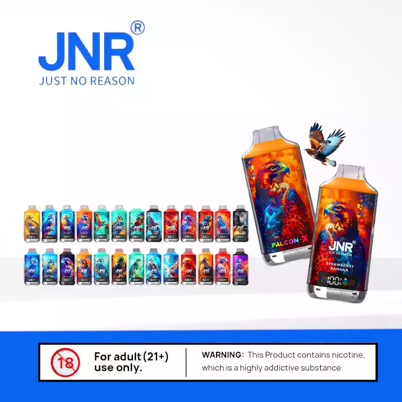 JNR Falcon-X 18000 Puffs smarte Einweg-Vape