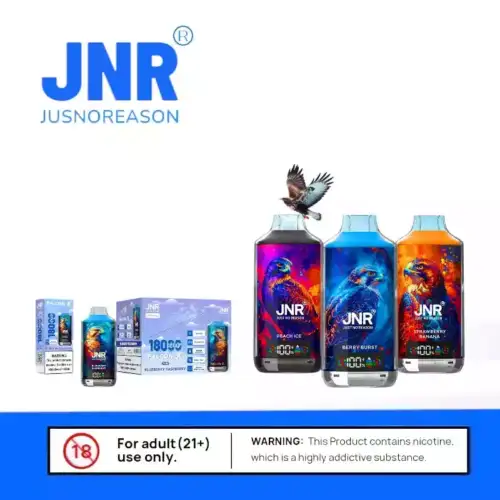 JNR Falcon-X 18000 Puffs smarte Einweg-Vape