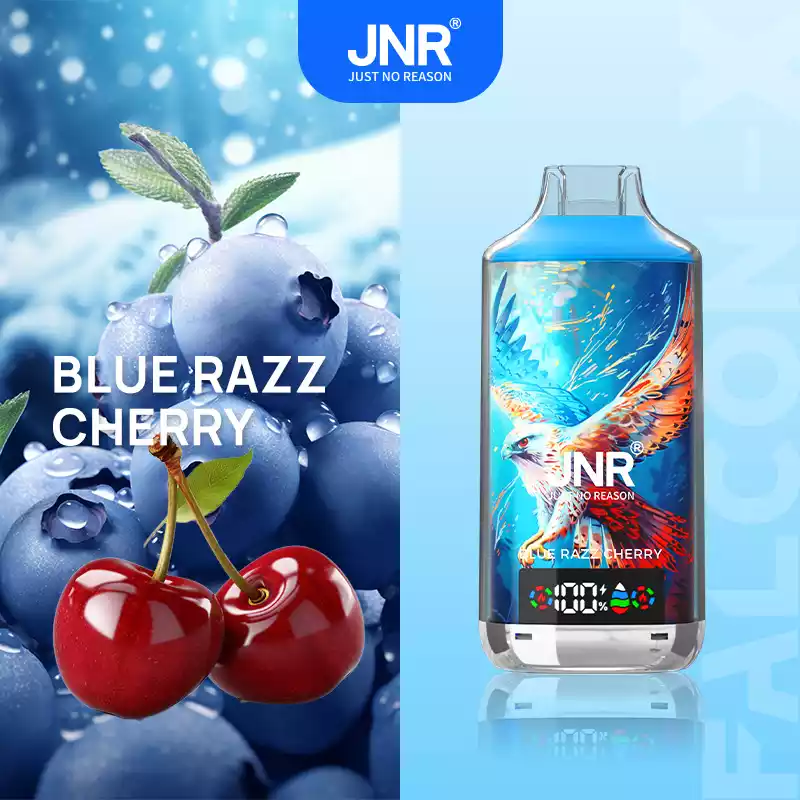 JNR Falcon-X 18000 Puffs smarte Einweg-Vape