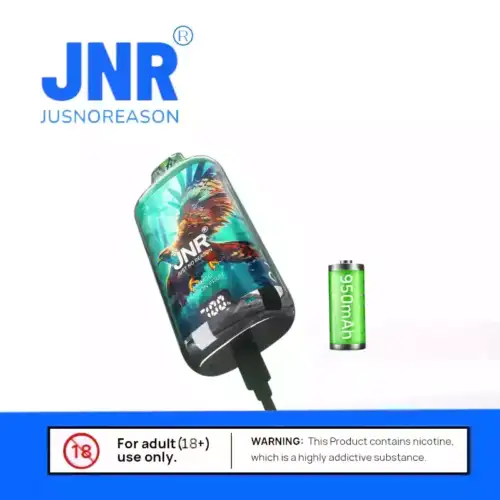 JNR Falcon X Plus 28K Puff DJNR Falcon X Plus 28K Puff Dual Mesh Coil. Vapeual Mesh Coil. Vape