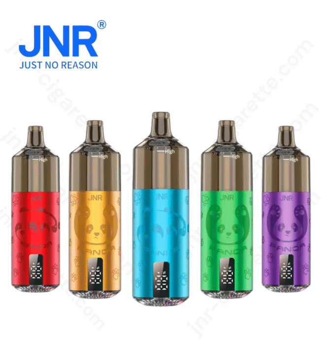 JNR Panda 25500 PUFF nachfüllbares Vape