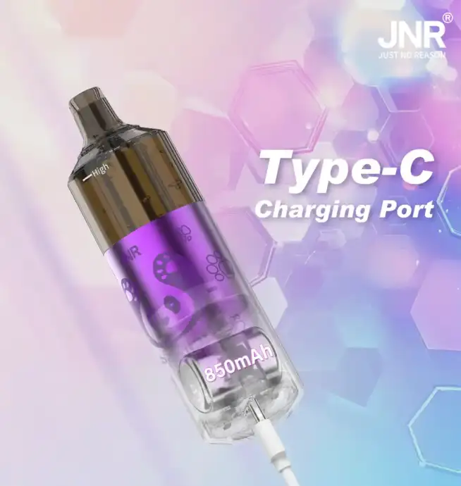 JNR Panda 25500 PUFF nachfüllbares Vape