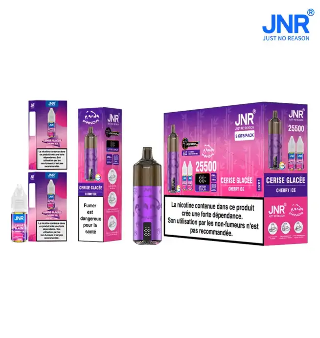 JNR Panda 25500 PUFF nachfüllbares Vape