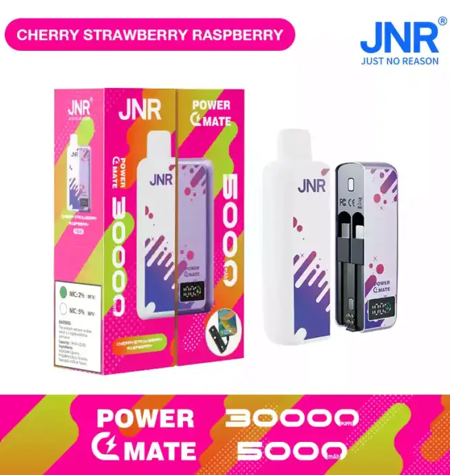 JNR Power Mate 30000 Puffs & reichhaltiger Geschmack