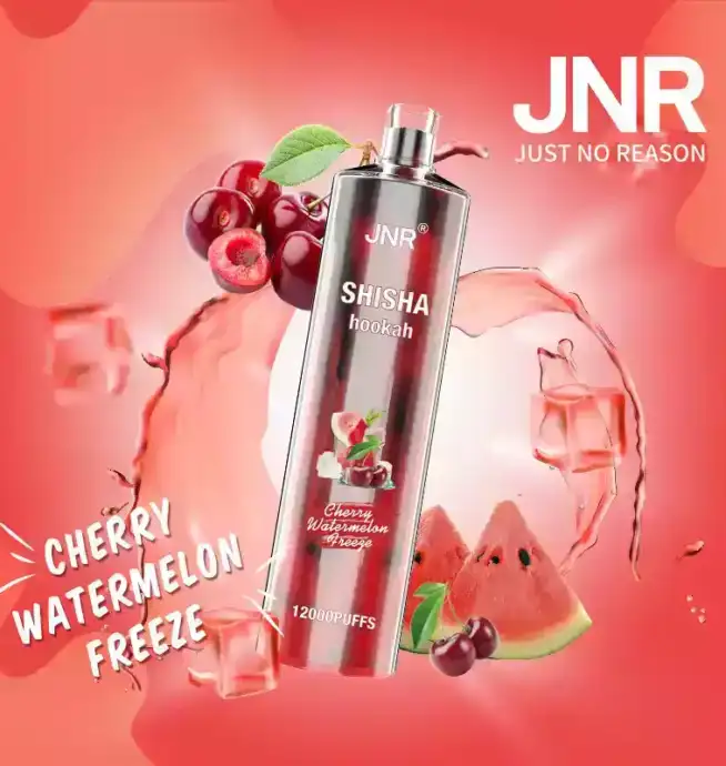 JNR Shisha 12K Puffs Schnellladung Vape