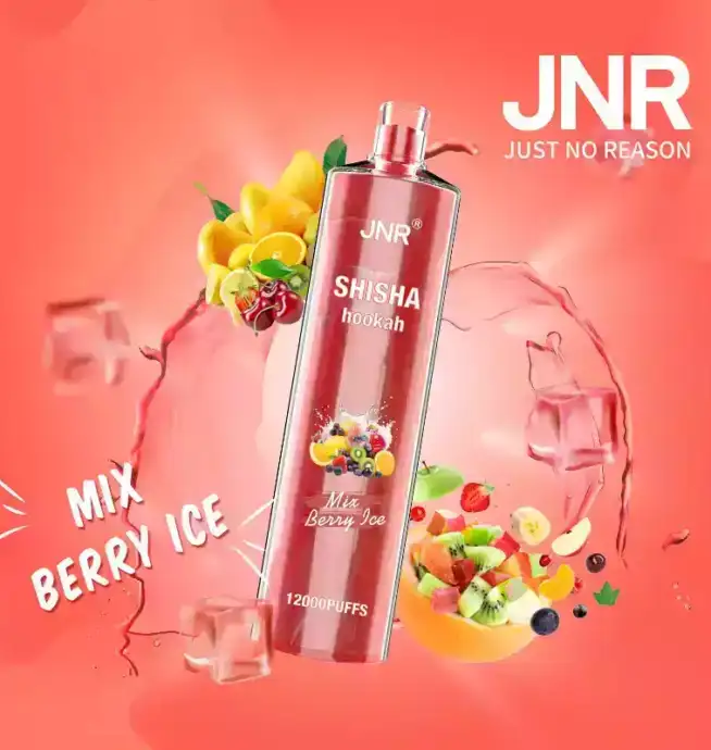 JNR Shisha 12K Puffs Schnellladung Vape