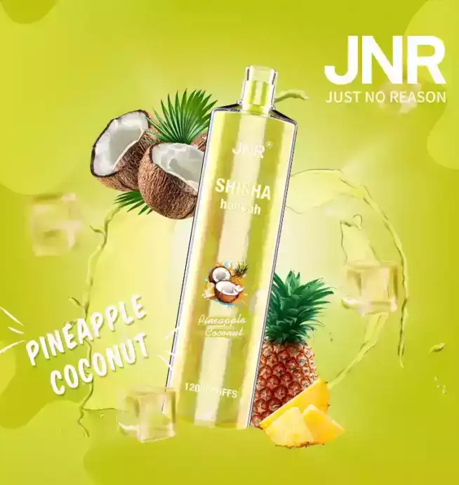 JNR Shisha 12K Puffs Schnellladung Vape