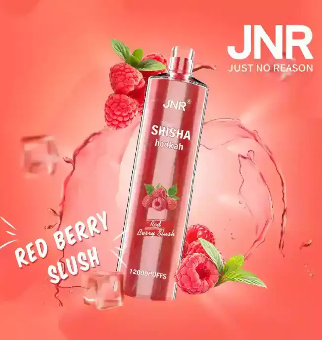 JNR Shisha 12K Puffs Schnellladung Vape