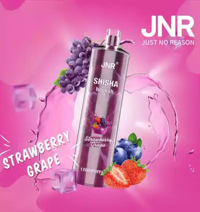 JNR Shisha 12K Puffs Schnellladung Vape