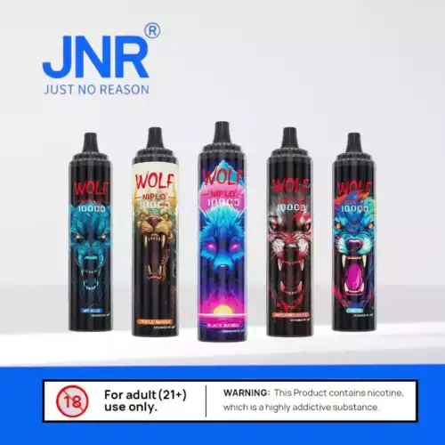 JNR Wolf 10000 – Kompakt & Geschmacksstark