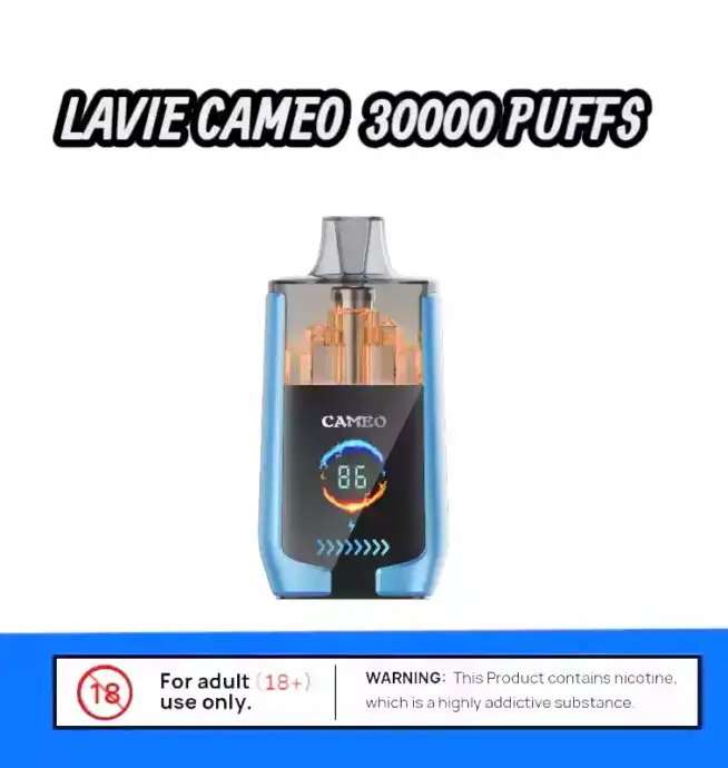 LAVIE CAMEO 30000 – Leistung, Geschmack, Stil