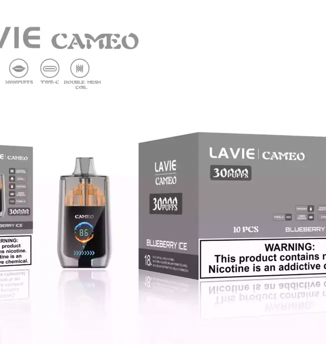 LAVIE CAMEO 30000 – Leistung, Geschmack, Stil