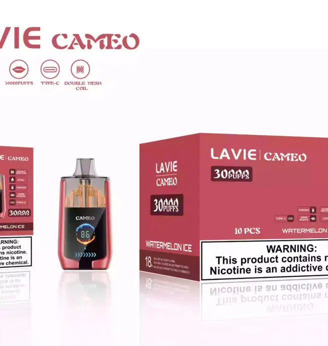 LAVIE CAMEO 30000 – Leistung, Geschmack, Stil
