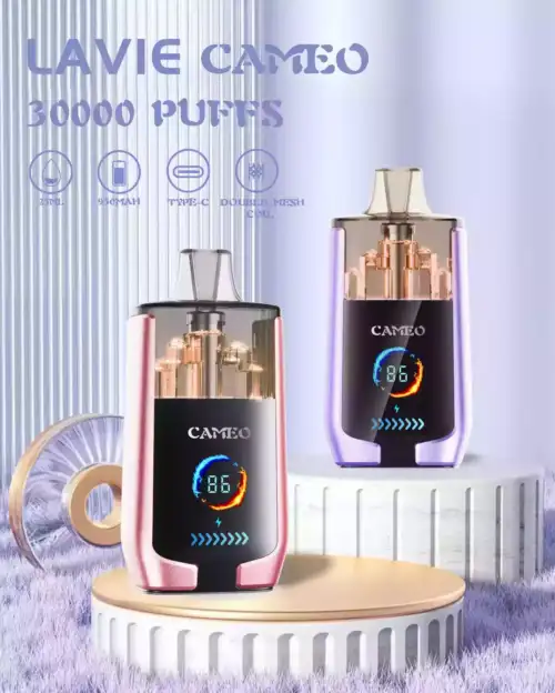 LAVIE CAMEO 30000 – Leistung, Geschmack, Stil