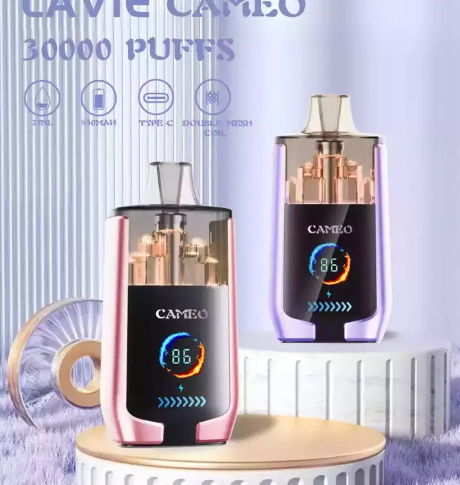 LAVIE CAMEO 30000 – Leistung, Geschmack, Stil