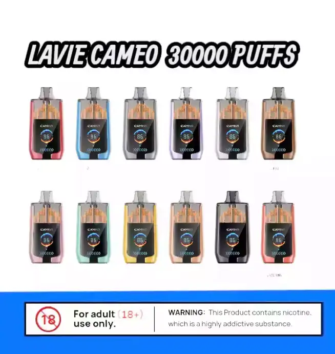LAVIE CAMEO 30000 – Leistung, Geschmack, Stil