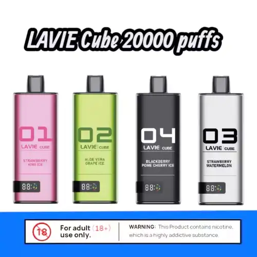 LAVIE Cube 20000 – Flach. Aromatisch. Stark.
