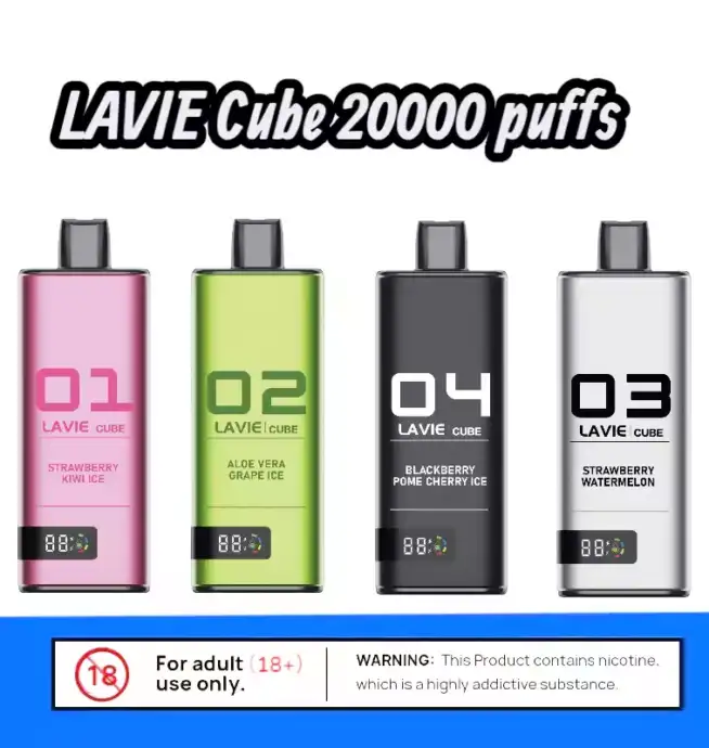 LAVIE Cube 20000 – Flach. Aromatisch. Stark.