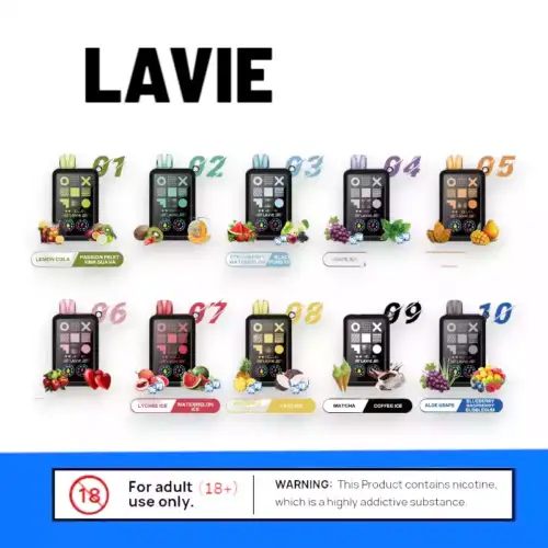 LAVIE Cyber 20000 – Doppelt schmeckt besser