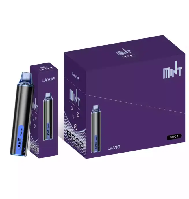 LAVIE Torch 6000 – Kompakter Vape mit 14 Aromen