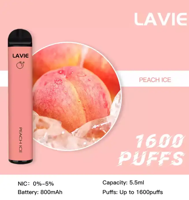 Lavie Bar 1600 – Kompakt, intensiv, tragbar