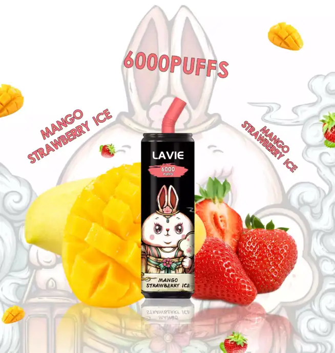 Lavie Cola 6000 – Kraftvoll. Kompakt. Geschmackvoll.