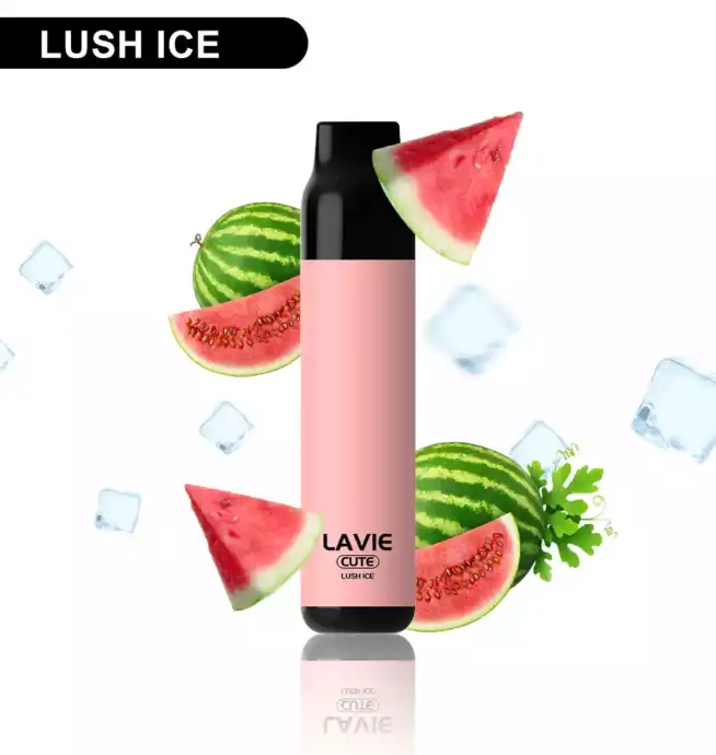 Lavie Cute 3000 – Kompakt. Fruchtig. Effektiv.