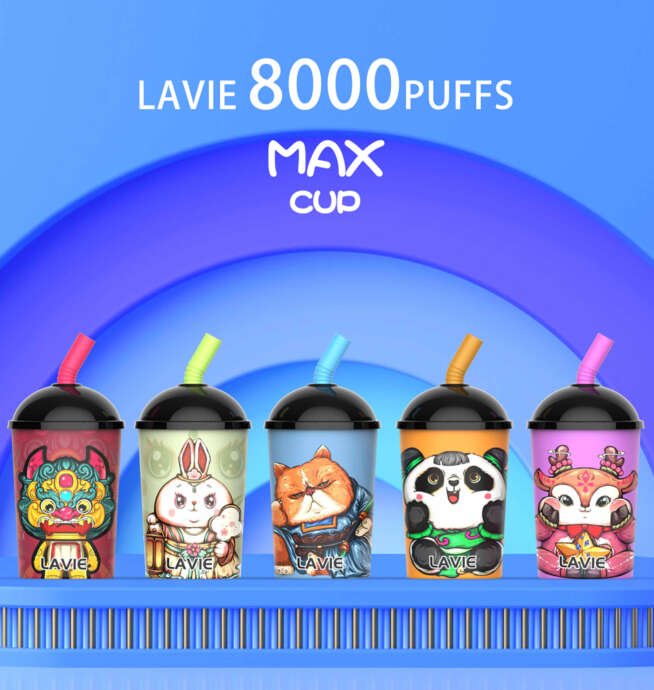 Lavie Max Cup 8000 – Starker Vape im Pocket-Format