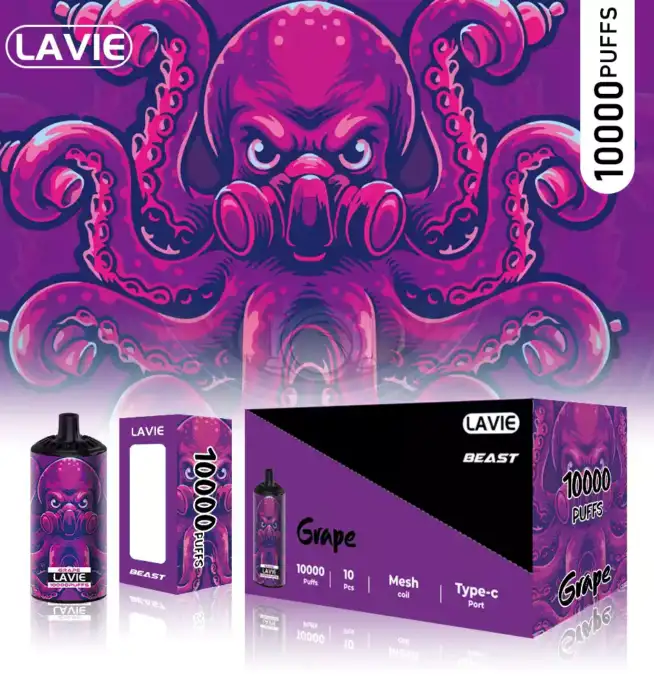 Lavie Rockt 10000 – Kompakter Vape mit Geschmack