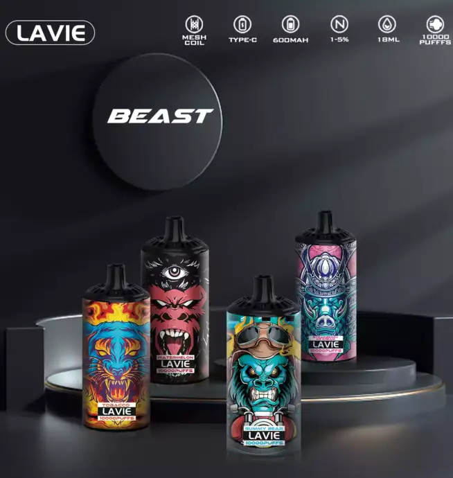 Lavie Rockt 10000 – Kompakter Vape mit Geschmack