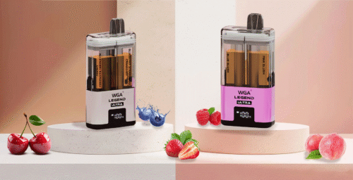 WGA 30K Vape – 30000 Züge Dual Flavor