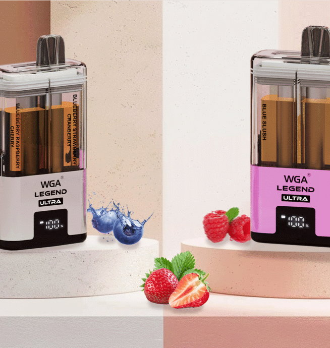 WGA 30K Vape – 30000 Züge Dual Flavor