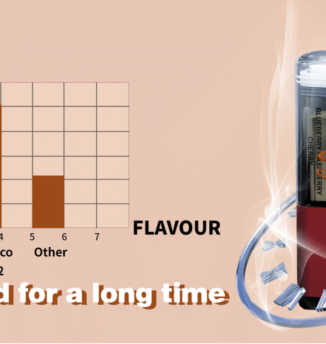 WGA 30K Vape – 30000 Züge Dual Flavor