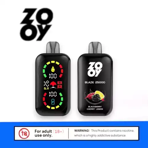 ZOOY BLAZE 25000 Puffs mit Airflow & Display